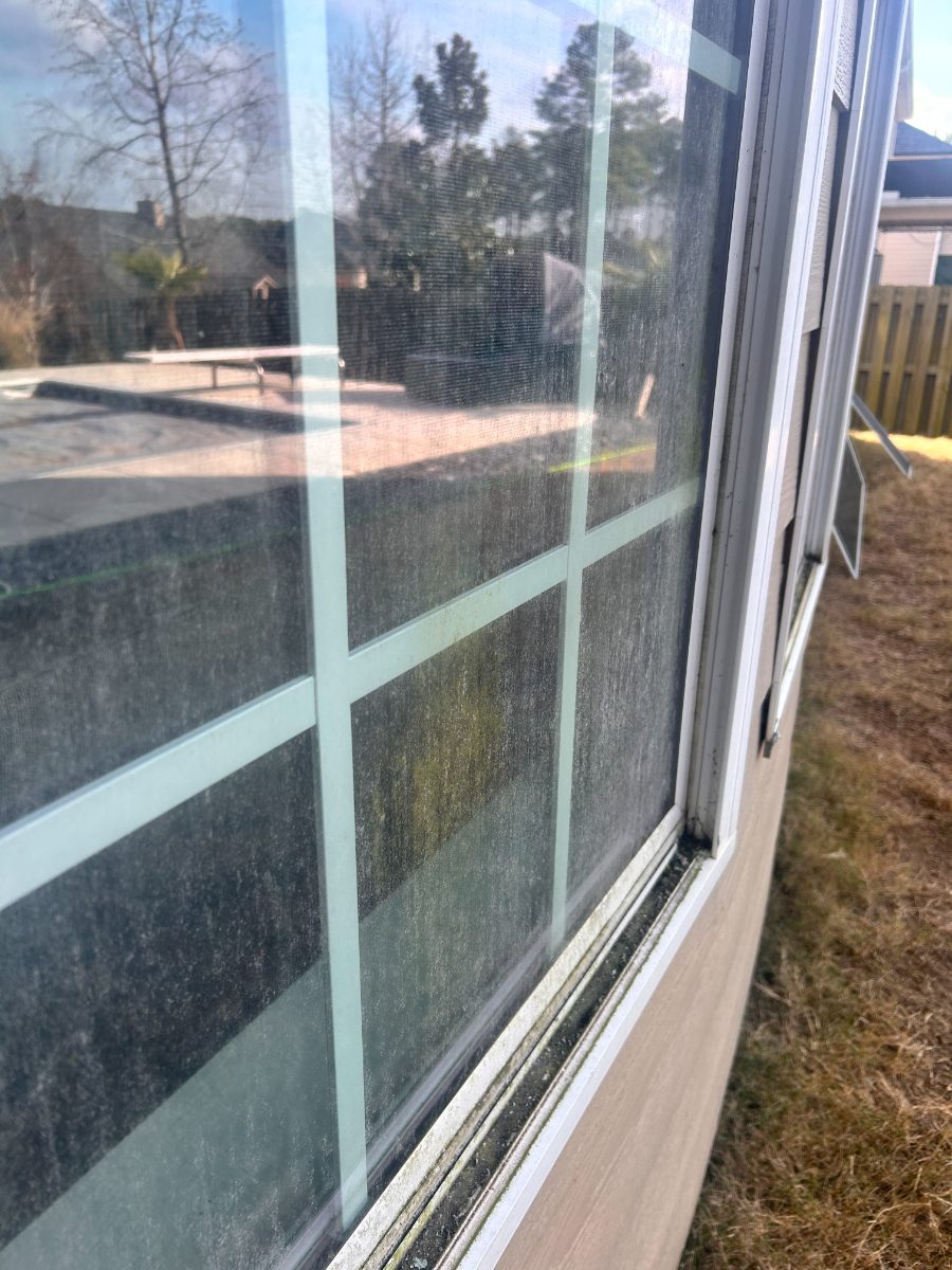 Dirty window before EXClean cleaning — grid window with heavy pollen buildup