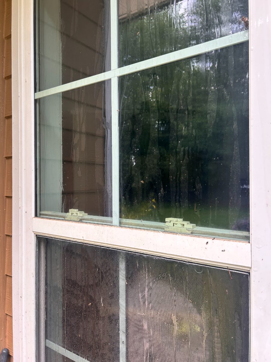 Dirty window before EXClean cleaning — divided-light window, inside and out